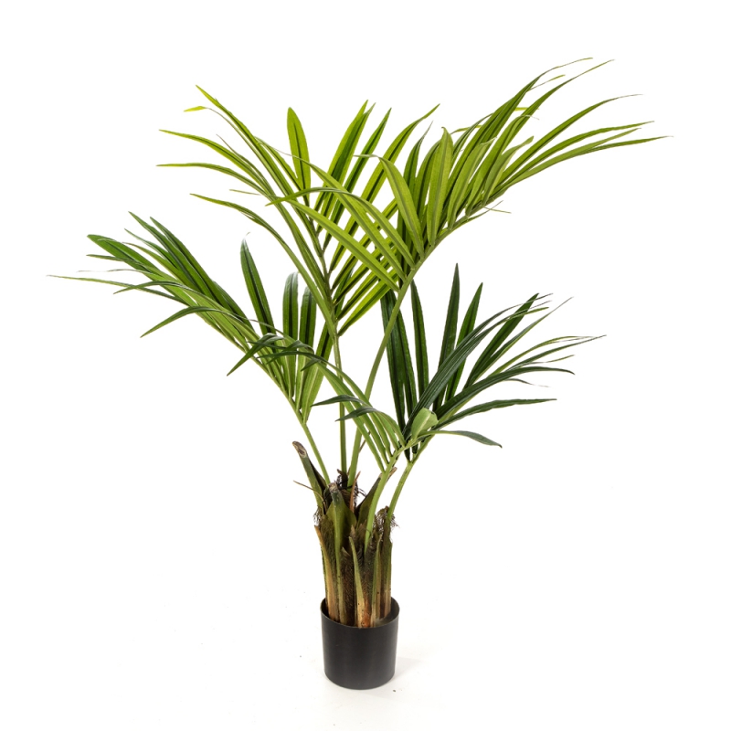 4' Natural Kentia Palm Flora World